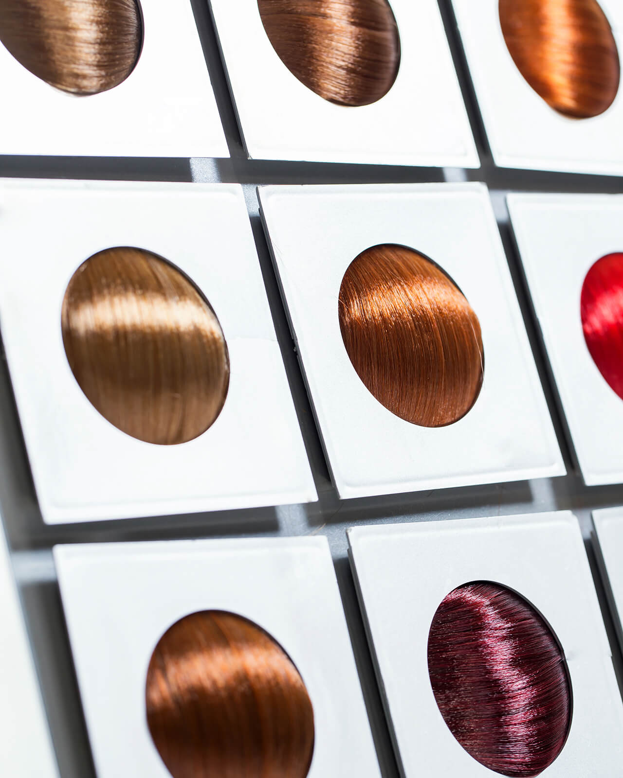 Display of different hair types and colours
